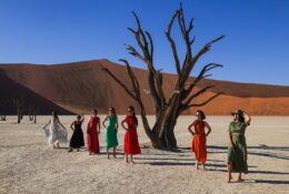 Namibia_April_2025 (49/79)